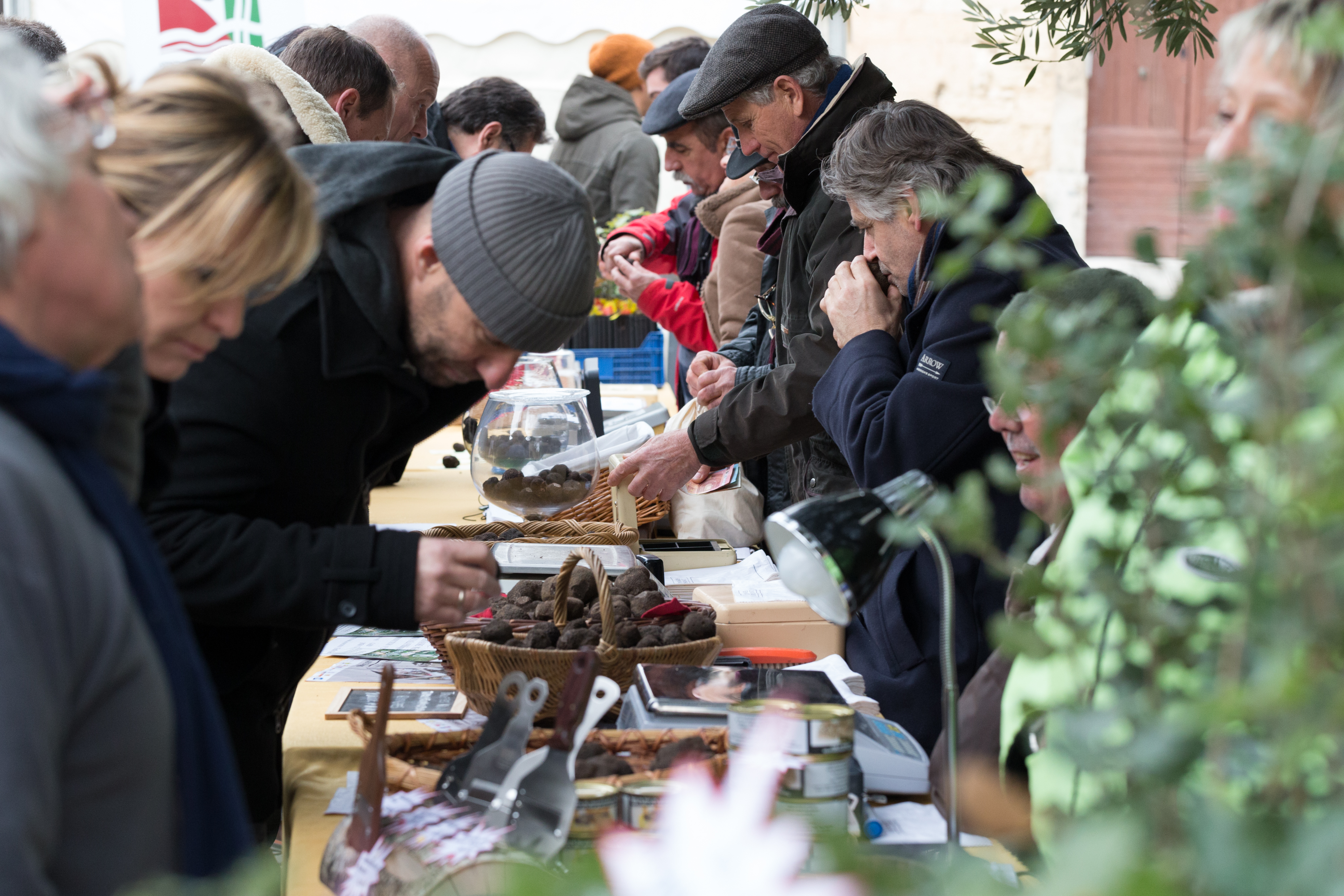 Fete De La Truffe Saint Genies Des Mourgues 2022 Spécial Fête de la truffe – Visite guidée Saint Géniès des Mourgues – Salle  de presse